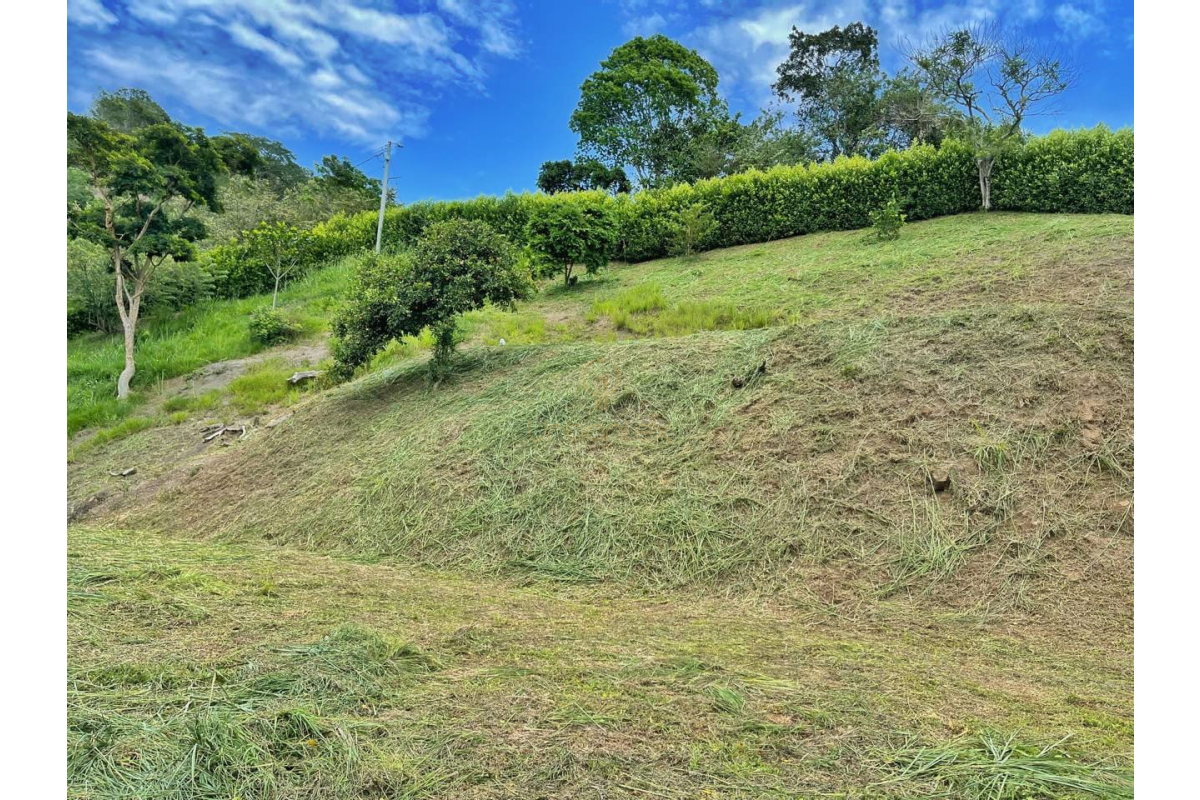 UrbanLex vende lote condominio, área 4.026m2 $310Millones