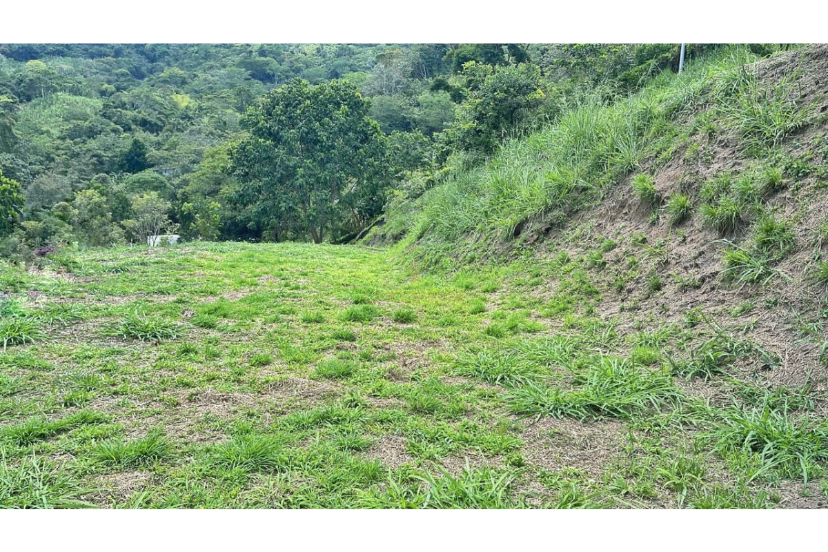 UrbanLex vende lote condominio, área 4.026m2 $310Millones