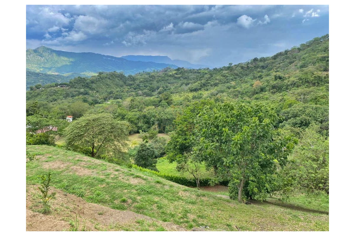 UrbanLex vende lote condominio, área 4.026m2 $310Millones