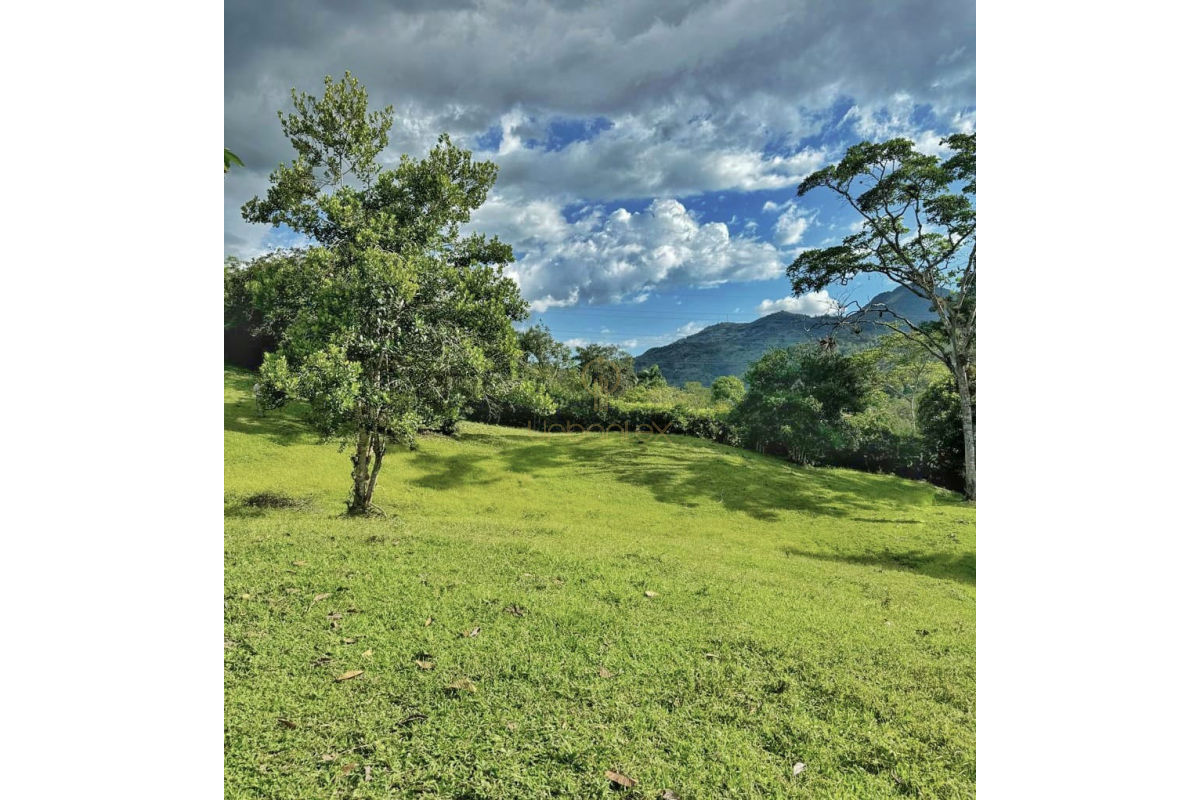 UrbanLex vende lote rural-Villeta, área 8.116m2 $260Millones