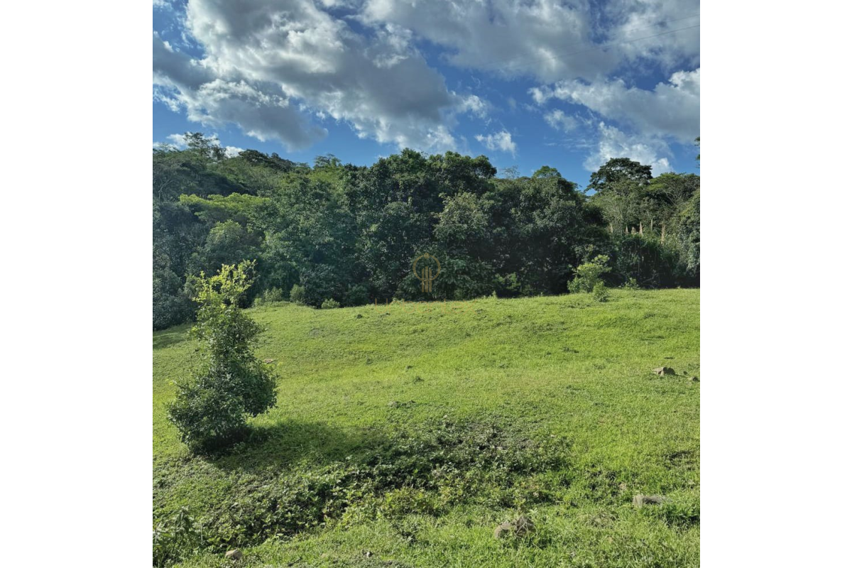 UrbanLex vende lote rural-Villeta, área 8.116m2 $260Millones