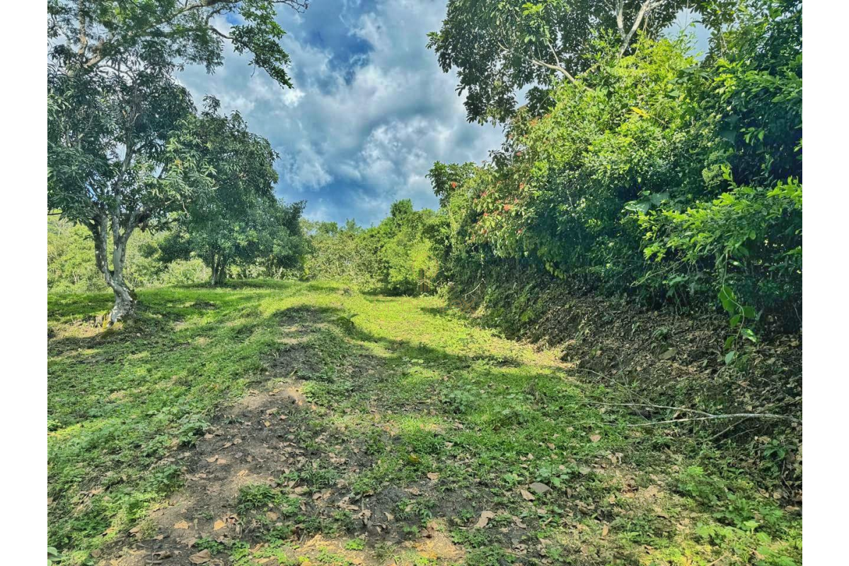 UrbanLex vende lote rural-Villeta, área 8.116m2 $260Millones