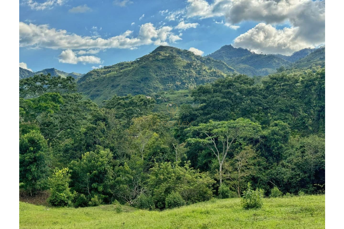 UrbanLex vende lote rural-Villeta, área 8.116m2 $260Millones