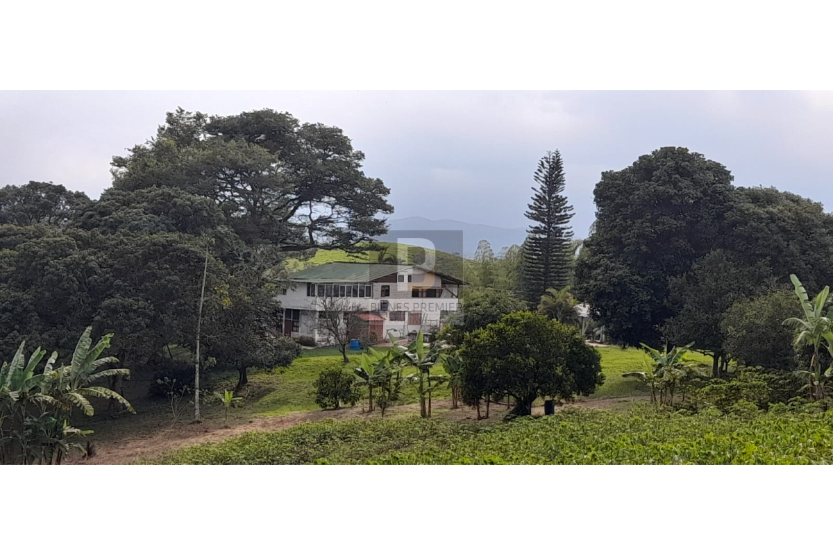 Finca en Venta en Santander de Quilichao Cauca 11.200 m² | Casa campestre | Gran terreno para inversión