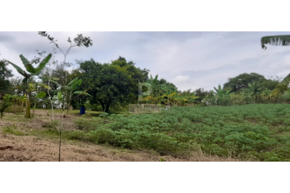 Finca en Venta en Santander de Quilichao Cauca 11.200 m² | Casa campestre | Gran terreno para inversión