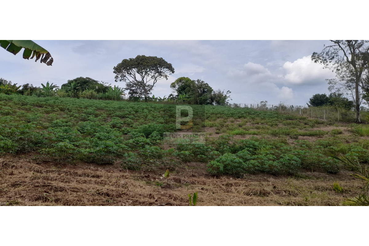 Finca en Venta en Santander de Quilichao Cauca 11.200 m² | Casa campestre | Gran terreno para inversión