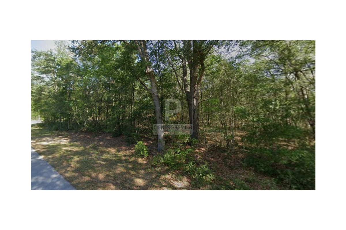 Lote en Venta en Ocala Florida 4653 m² | Inversión internacional | Terreno amplio en zona de crecimiento
