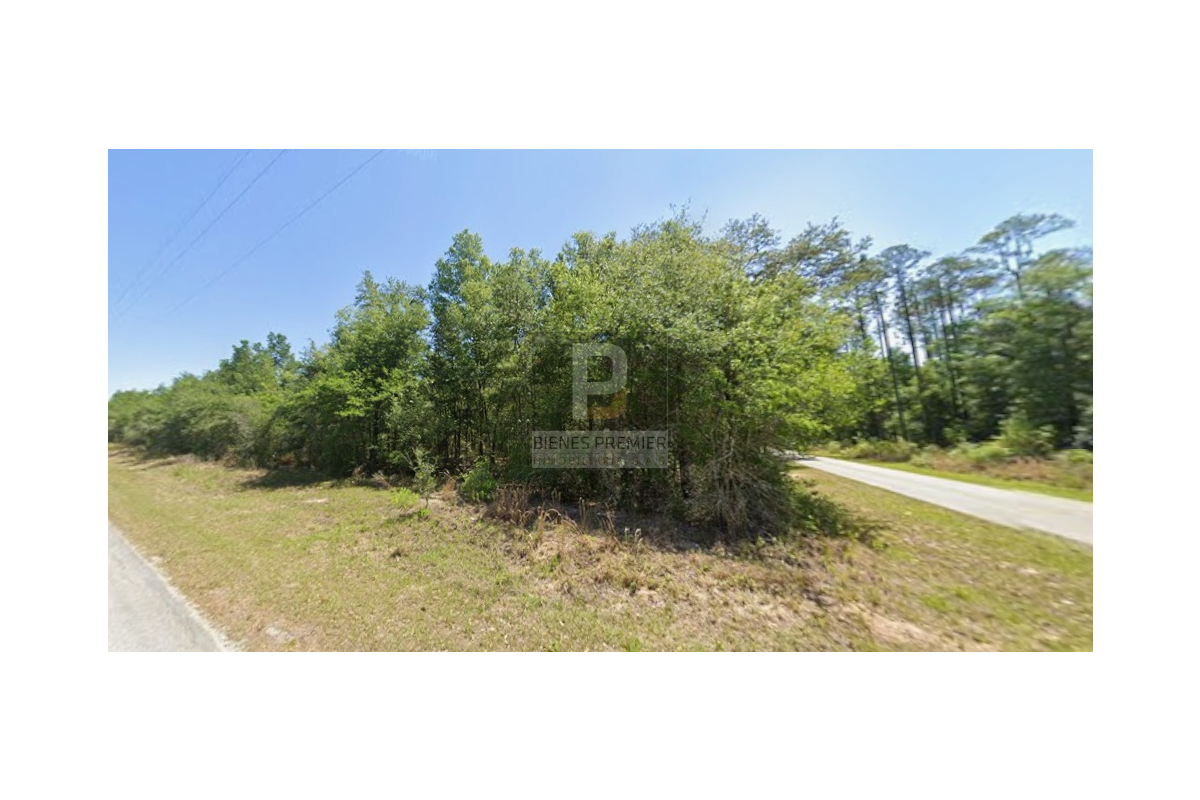 Lote en Venta en Ocala Florida 4653 m² | Inversión internacional | Terreno amplio en zona de crecimiento