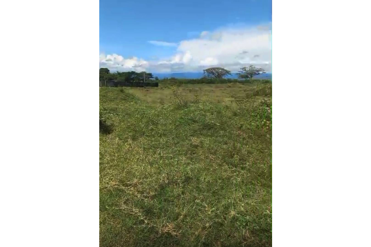 Lote en Venta en Tuluá Transversal 12 700 m² | Esquinero | Ideal para casa campestre o inversión | B