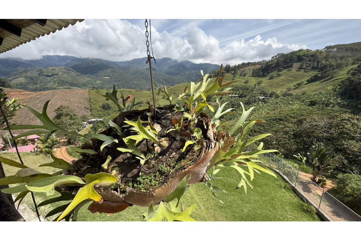 Casa Campestre en Arriendo en Lago Calima Calima Darién | Amoblada | Vista panorámica | Finca para descanso